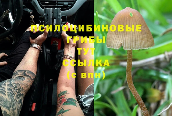 прущая мука Алексеевка