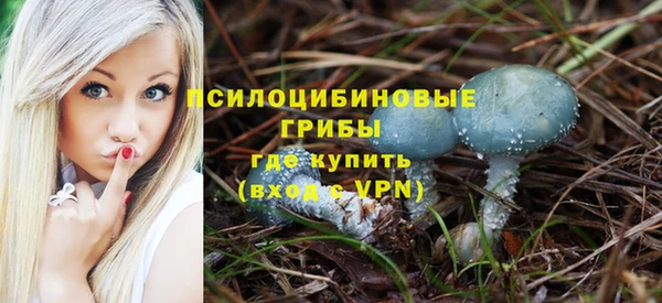 молекула духа Алзамай