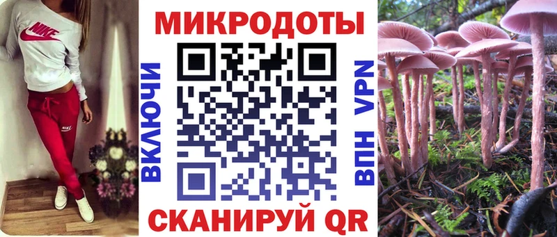blacksprut как зайти  Арамиль  Галлюциногенные грибы GOLDEN TEACHER 